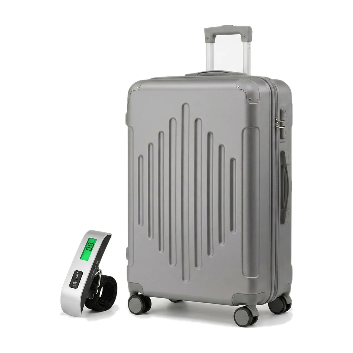 Hold Luggage & Scales